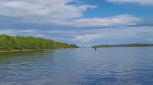 Рыбалка на Кольском полуострове. Поплавочная удочка. Ловля сига в реке.