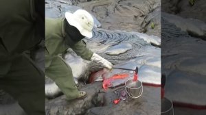 добыча лавы