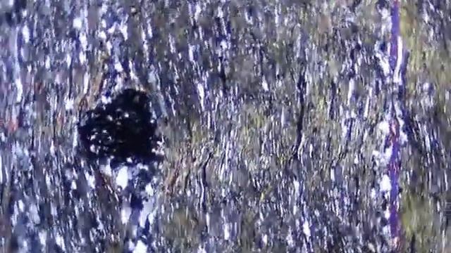 Garnet actinolite phyllite (XPL) смотреть онлайн