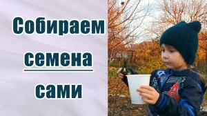 Как сэкономить на семенах.Собираем семена сами.