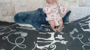#что нужно Реборну на первое время⁉️