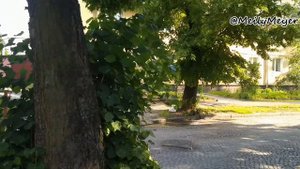 Калининград. Марауненхоф || Kaliningrad. Maraunenhof [ENG sub]