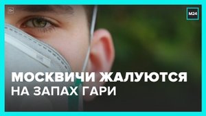 Жители ЮЗАО и ЮАО пожаловались на сильный запах гари - Москва 24