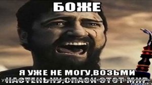 Береза штамбовая: особенности прививки и ухода