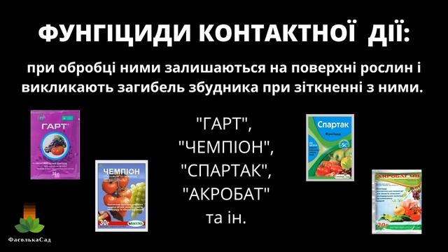 Забудьте про фітофтору на помідорах! Без шкоди для здоровя!  З хімією та без неї.