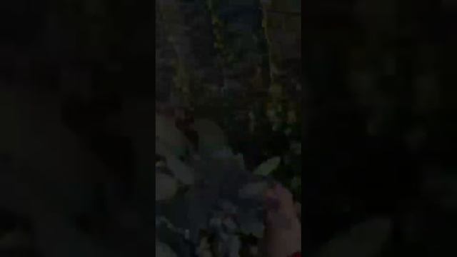 Счастье когда солнце и муж любит и умеет вкусно готовить ! смотреть онлайн