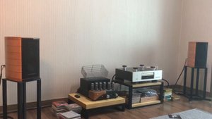 sonus faber cremona auditor m