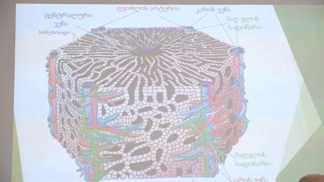 საჭმლის მომნელებელი სისტემა მე 4 ე ნაწილი смотреть онлайн