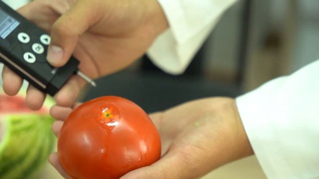 Проверка уровня содержания нитратов во фруктах и овощах в Джалал-Абадском колледже смотреть онлайн