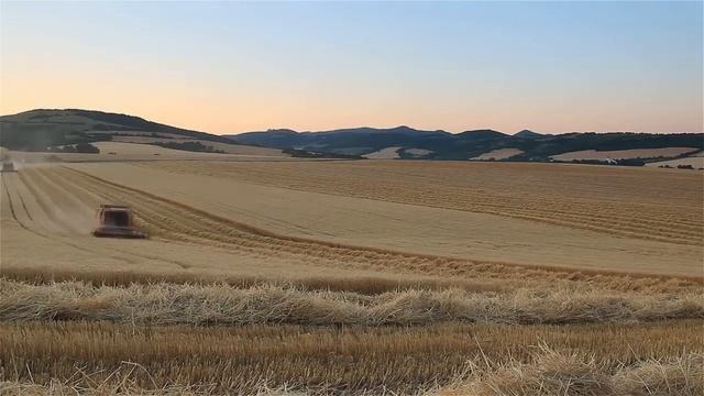 Виталий Лобач - Василина (cover Dzidzio) смотреть онлайн