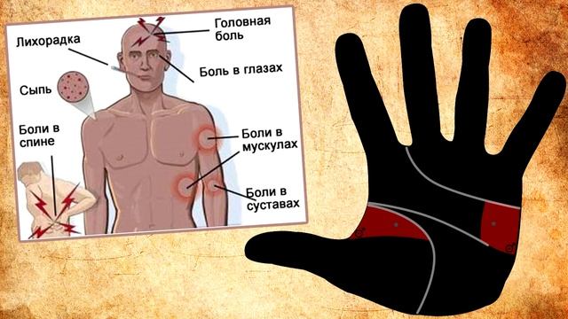ТОЧКА на руках / хиромантия / Кладезь Хиромантии