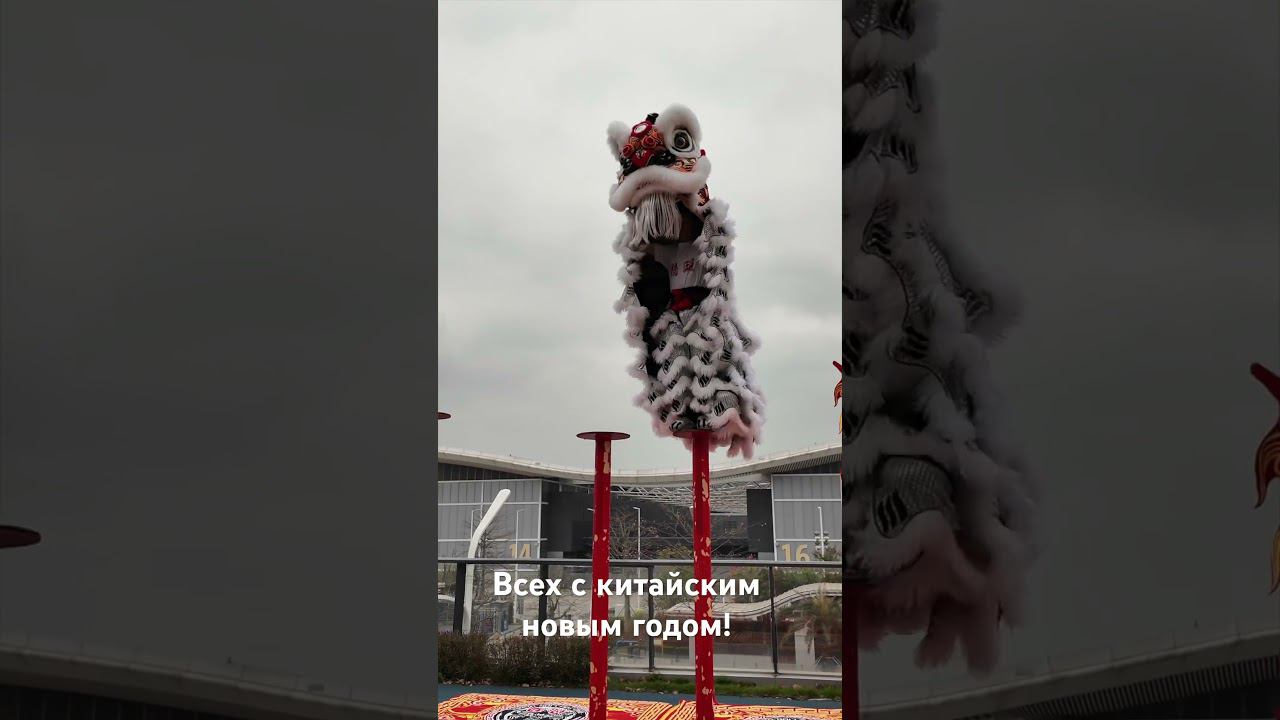С КИТАЙСКИМ НОВЫМ ГОДОМ! #laowai #лаовай #жизньвкитае