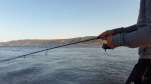 Ловля Окуня и жереха на воблеры рыбалка осенью в сентябре 2020 как поймать рыбу на спиннинг с лодки