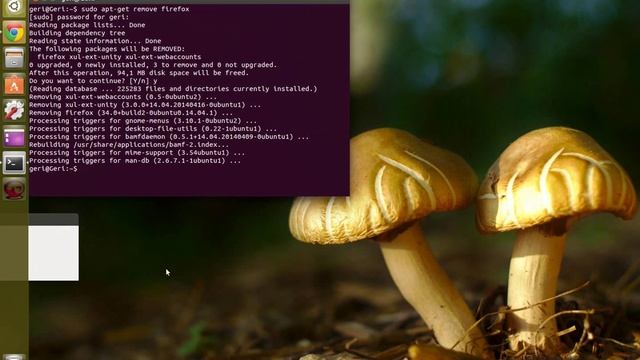 Remove and Install Mozilla Firefox Ubuntu 14.04.1 смотреть онлайн