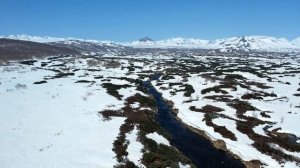 Камчатка. Охота на медведя...