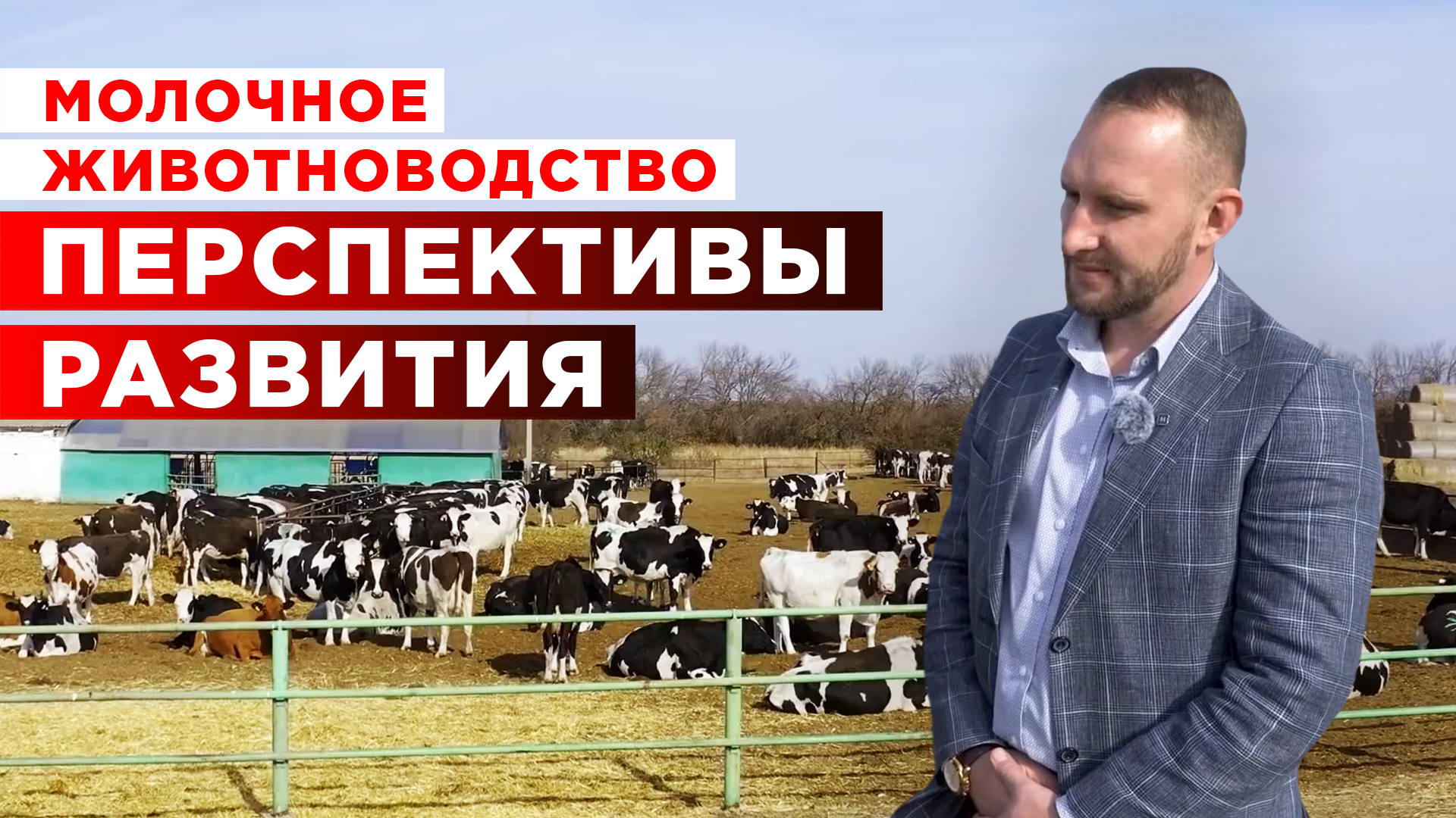 Развитие молочного животноводства | Кооперация хозяйств | Молочная ферма