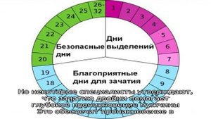 Как зачать и родить двойню?  Как зачать двойню естественным путем?