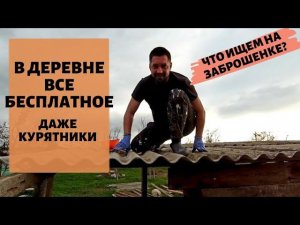 ТЕПЕРЬ ВСЕ СОСЕДИ ЗАВИДУЮТ | ЗАБРОШЕННЫЙ УЧАСТОК | ПЕРЕЕЗД НА ЮГ #переезднахутор #переезднаюг #хутор