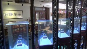 Дженджоу, Чжэнчжоу, Zhengzhou, Хэнань, Китай - Россия, ММА.