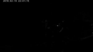 Стант сузуки сепия