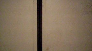 Электрический лифт V=1 м-с, грузоподъемность 320 кг (199)