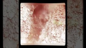 Чудеса Аллаха