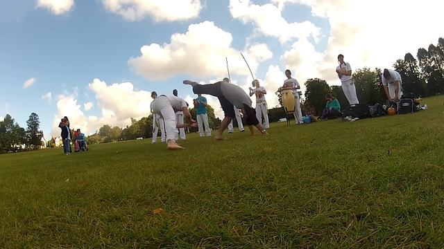 Capoeira Training 2012 смотреть онлайн