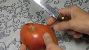 Томат Ландсхутский великан Landshuter Riese. Тест зрелых плодов.