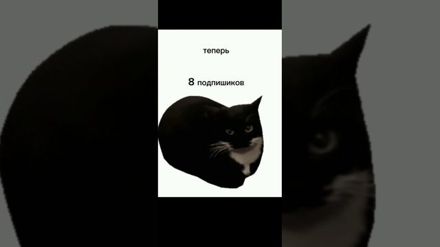 IGRUHA ?