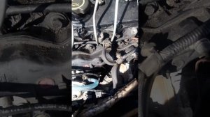Форд Мондео 3 2005 г. Система Делфи TDCI. Вместо Делфи установлен механический ТНВД Бош. Турбина