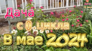 В мае 2024