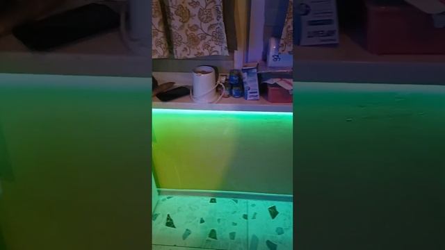 Умная адресная светодиодная лента RGB IC с Яндекс Алисой