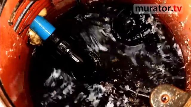 Как решить проблему отведения дождевой воды на садовом участке смотреть онлайн