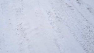 Детектор скрытой проводки с генератором своими руками.Трассоискатель.