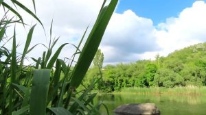 ??ПОРОЛОНОВАЯ убийца карася | снасть на поплавочную удочку и скользящий поплавок с кормушкой