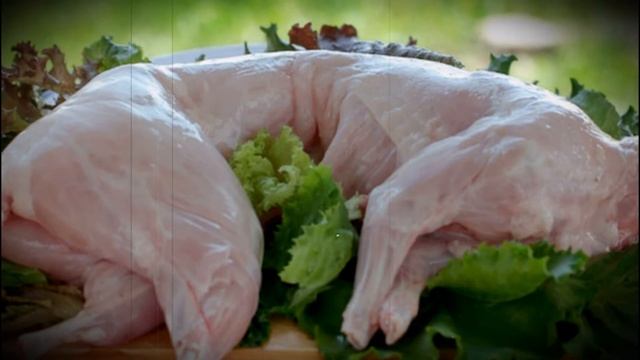 Мясо кролика и кошки как отличить подмен