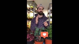 Информация про питание цветов и других растений на грунте,как пользоваться ЕС метром и удобрениями?