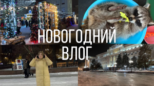 НОВОГОДНИЙ ВЛОГ С ЕНОТОМ |МОЙ ДЕНЬ