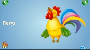 СООБРАЖАЛКА(СОБИРАШКА)/144/