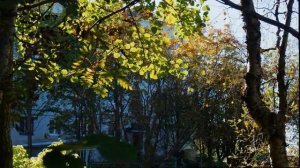 Мой Север.Привет из Мурмашей!.MP4