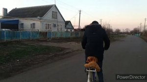Станица Журавская Краснодарский край.
