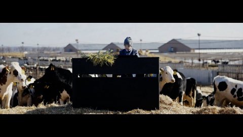 8 марта на ферме «ЭкоНивы»