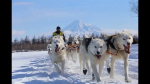 «Национальные парки и заповедники Камчатского края»