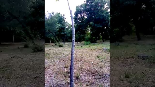 😜😜😜❤️❤️❤️😍😍😍😘😘😘 Сказка смотреть онлайн