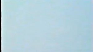 Голуби серпасто-выворотные Арик х.Победа