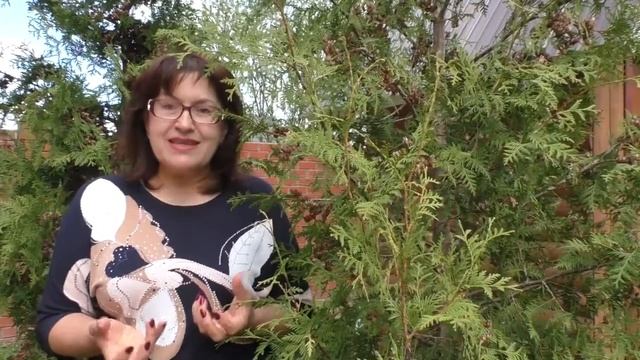 Как найти своё дело по душе