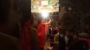 помери туи💃помери сур