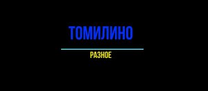 Томилино, разное