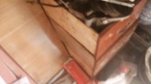 Муравей ожил! Дело в зажигании