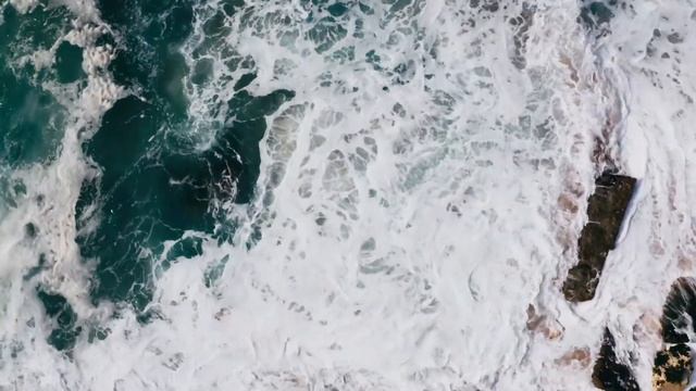 Aerial Ballet: Birds in Flight смотреть онлайн